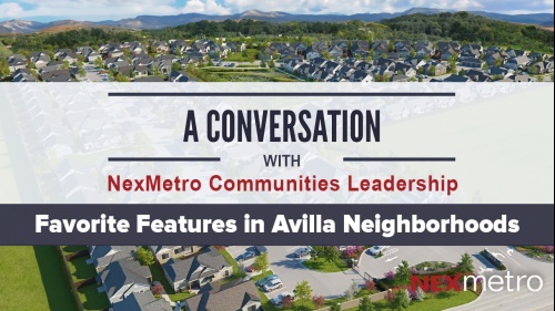 Favorite Features in Avilla Neighborhoods